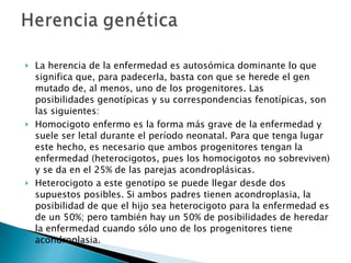 La herencia de la enfermedad es autosómica dominante lo que significa que, para padecerla, basta con que se herede el gen mutado de, al menos, uno de los progenitores. Las posibilidades genotípicas y su correspondencias fenotípicas, son las siguientes: Homocigoto enfermo es la forma más grave de la enfermedad y suele ser letal durante el período neonatal. Para que tenga lugar este hecho, es necesario que ambos progenitores tengan la enfermedad (heterocigotos, pues los homocigotos no sobreviven) y se da en el 25% de las parejas acondroplásicas. Heterocigoto a este genotipo se puede llegar desde dos supuestos posibles. Si ambos padres tienen acondroplasia, la posibilidad de que el hijo sea heterocigoto para la enfermedad es de un 50%; pero también hay un 50% de posibilidades de heredar la enfermedad cuando sólo uno de los progenitores tiene acondroplasia. 