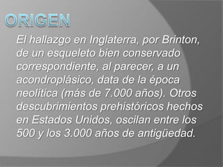 ORIGENEl hallazgo en Inglaterra, por Brinton, de un esqueleto bien conservado correspondiente, al parecer, a un acondroplásico, data de la época neolítica (más de 7.000 años). Otros descubrimientos prehistóricos hechos en Estados Unidos, oscilan entre los 500 y los 3.000 años de antigüedad.