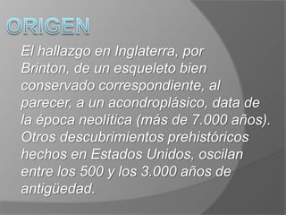 ORIGENEl hallazgo en Inglaterra, por Brinton, de un esqueleto bien conservado correspondiente, al parecer, a un acondroplásico, data de la época neolítica (más de 7.000 años). Otros descubrimientos prehistóricos hechos en Estados Unidos, oscilan entre los 500 y los 3.000 años de antigüedad.