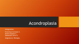 Acondroplasia
Integrantes:
Francisco Cornejo Z.
Álvaro Espina C.
Sebastián Silva H.
Asignatura: Biología.
 