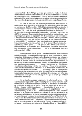 La acondroplasia, algo más que una cuestión de altura.
14
estar entre 1,72 y 5,57x10
-5
por gameto y generación. La incidencia de esta
anomalía oscila entre un caso cada 10.000 ó 100.000 habitantes. En España,
según Martínez-Frías y colaboradores (1991) la tasa de prevalencia es de un
caso cada 8200 recién nacidos vivos, con una tasa estimada de mutación de
48,5 por millón de gametos y siguiendo una distribución geográfica uniforme.
En 1994 se descubrió que el gen responsable de la acondroplasia se
localiza en la región telomérica de la banda 16.3 del brazo corto del cuarto par
de cromosomas (Le Merrer et al., 1994). El gen afectado codifica al receptor 3
del factor de crecimiento de fibroblastos (FGF; Fibroblast Growth Factor). La
secuencia de ADN de este gen ha revelado que en los individuos
acondroplásicos existe una mutación denominada Gly380Arg, que ocurre en
el 97% de los casos. Esta mutación da como resultado la sustitución de una
arginina por una glicina en la posición 380 de la proteína, lo cual corresponde
a la región transmembranal (RTM) del Receptor 3 del FGF (FGFR3) acoplado
a la tirosina-kinasa, que se expresa en la placa de crecimiento del hueso
(Horton, 2005). T ambién se han identificado otras mutaciones menos
frecuente que da lugar a una sustituci ón de la glicina 375 por una cisteína
(Gly375Cys), o de la glicina 346 por Glu (Gly 346Glu), así como el
reemplazamiento de la lisina 650 por la metionina (Ly s650Met), responsable
esta última de las formas más severas de la acondroplasia (Guzmán-
Aránguez et al., 2008b)
Los fibroblastos son un tipo de célula residente del tejido conectivo
propiamente dicho, y responsables de sint etizar fibras y mantener la matriz
extracelular del tejido de muchos animales. Estas proporcionan una estructura
en forma de entramado a muy diversos tejidos y juegan un papel crucial en la
curación de heridas, siendo las células más comunes del tejido conectivo. Se
derivan de células primitivas mesenqui males y pluripotenciales, de manera
que las células estromales se pueden transformar en fibroblastos,
osteoblastos, adipositos y células mu sculares. Así, la consecuencia de
cualquiera de las mutaciones anteriore s es un deterioro en la capacidad de
formar hueso a partir del cartílago (formación ósea u osteogénesis
endocondral). Se sabe que durante la inf ancia el F GFR3 normalmente está
desactivado, lo que permite crecer al cartílago. Sin embargo, en niños con
acondroplasia, el receptor es muy activo y se cree que es esto lo que inhibe el
crecimiento del cartílago.
En familias formadas por progenitores de talla normal, con un hijo
acondroplásico, la posibilidad de tener otro hijo con la misma anomalía es la
misma que en el resto de la población (el riesgo de recurrencia en hermanos
de los mismos progenitores no afecto s se ha cuantificado en el 0,02% -
Mettler y Fraser, 2000). Sin embargo, la posibilidad de tener un hijo
acondroplásico aumenta al 50% cuando uno de los padres es ya
acondroplásico y el otro no. Si ambos padres padecen esta anomalía
genética, la probabilidad de tener un hijo afectado es del 75%. En general, las
personas no afectadas no presentan riesgo elevado de tener descendientes
con acondroplasia, pero algunos padres c on aspecto “normal” han tenido dos
e incluso tres descendientes con enanismo acondroplásico típico (Fryns et al.,
1983). La explicación a esta inesperada y anormal alta frecuencia parece
radicar en una mutación en la línea germinal. Es decir, un evento temprano
en la vida embrionaria, principalmente del padre (Glaser y Jabs, 2004),
 