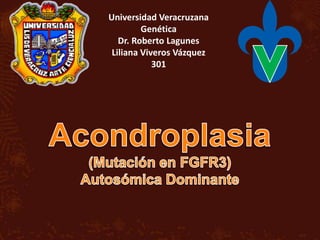 Universidad Veracruzana
Genética
Dr. Roberto Lagunes
Liliana Viveros Vázquez
301
 