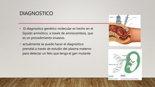 DIAGNOSTICO
• El diagnostico genético molecular es hecho en el
liquido amniótico, a través de amniocentesis, que
es un procedimiento invasivo.
• actualmente se puede hacer el diagnóstico
prenatal a través de estudio del plasma materno
para detectar un feto que tenga el gen mutante.
 