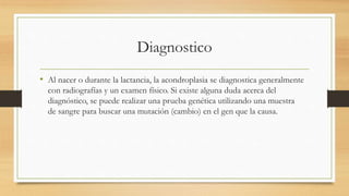 Diagnostico
• Al nacer o durante la lactancia, la acondroplasia se diagnostica generalmente
con radiografías y un examen físico. Si existe alguna duda acerca del
diagnóstico, se puede realizar una prueba genética utilizando una muestra
de sangre para buscar una mutación (cambio) en el gen que la causa.
 
