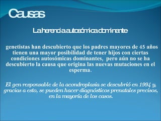 Causas   La herencia autosómica dominante  genetistas han descubierto que los padres mayores de 45 años tienen una mayor posibilidad de tener hijos con ciertas condiciones autosómicas dominantes,  pero aún no se ha descubierto la causa que origina las nuevas mutaciones en el esperma. El gen responsable de la acondroplasia se descubrió en 1994 y, gracias a esto, se pueden hacer diagnósticos prenatales precisos, en la mayoría de los casos. 