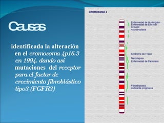 Causas identificada la alteración en el  cromosoma 4p16.3 en 1994. dando así  mutaciones  del  receptor para el factor de crecimiento fibroblástico tipo3 (FGFR3)   