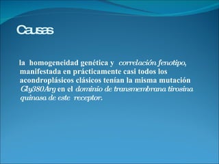 Causas la  homogeneidad genética y  correlación fenotipo , manifestada en prácticamente casi todos los acondroplásicos clásicos tenían la misma mutación  Gly380Arg  en el  dominio de transmembrana tirosina quinasa de este  receptor. 