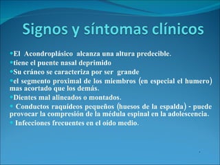 El  Acondroplásico  alcanza una altura predecible.  tiene el puente nasal deprimido  Su cráneo se caracteriza por ser  grande  el segmento proximal de los miembros (en especial el humero) mas acortado que los demás. Dientes mal alineados o montados. Conductos raquídeos pequeños (huesos de la espalda) - puede provocar la compresión de la médula espinal en la adolescencia.  Infecciones frecuentes en el oído medio. · 