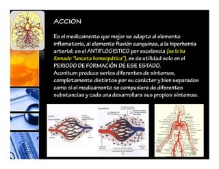 ACCION
Es el medicamento que mejor se adapta al elemento
inflamatorio, al elemento fluxión sanguínea, a la hiperhemia
arterial; es el ANTIFLOGISTICO por excelencia (se le ha
llamado "lanceta homeopática"), es de utilidad solo en el
PERIODO DE FORMACIÓN DE ESE ESTADO.
Aconitum produce series diferentes de síntomas,
completamente distintos por su carácter y bien separados
como si el medicamento se compusiera de diferentes
substancias y cada una desarrollara sus propios síntomas.
 