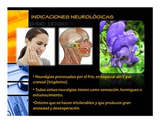 INDICACIONES NEUROLÓGICAS
• Neuralgias provocadas por el frío, en especial del V par
craneal (trigémino).
• Todas estas neuralgias tienen como sensación, hormigueo o
entumecimiento.
•Dolores que se hacen intolerables y que producen gran
ansiedad y desesperación.
 