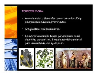 TOXICOLOGIA
• A nivel cardíaco tiene efectos en la conducción y
sincronización aurículo ventricular.
• Antipirético, hipotermizante.
• Es extremadamente tóxica por contener como
alcaloide, la aconitina. 1 mg de aconitina es letal
para un adulto de 80 kg de peso.
 