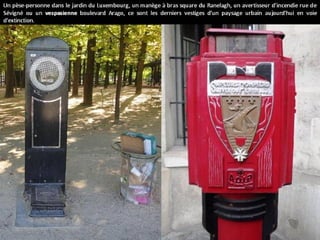 A connaitre   paris curiosites