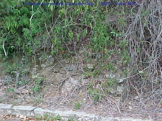 Fortim no morro Cara-de-Cão - 1565 - Foto M.T. 