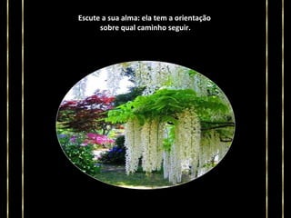 Escute a sua alma: ela tem a orientação
sobre qual caminho seguir.

 