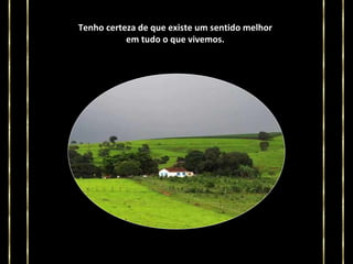 Tenho certeza de que existe um sentido melhor
em tudo o que vivemos.

 