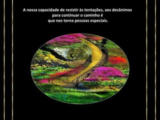A nossa capacidade de resistir às tentações, aos desânimos
para continuar o caminho é
que nos torna pessoas especiais.

 