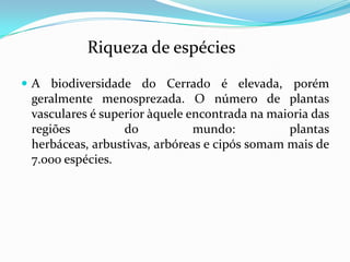 Riqueza de espécies
 A biodiversidade do Cerrado é elevada, porém
 geralmente menosprezada. O número de plantas
 vasculares é superior àquele encontrada na maioria das
 regiões          do           mundo:          plantas
 herbáceas, arbustivas, arbóreas e cipós somam mais de
 7.000 espécies.
 