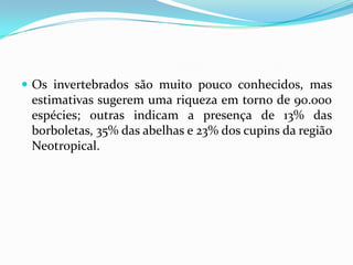  Os invertebrados são muito pouco conhecidos, mas
 estimativas sugerem uma riqueza em torno de 90.000
 espécies; outras indicam a presença de 13% das
 borboletas, 35% das abelhas e 23% dos cupins da região
 Neotropical.
 