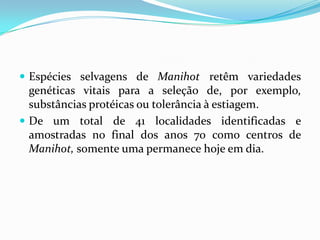  Espécies selvagens de Manihot retêm variedades
  genéticas vitais para a seleção de, por exemplo,
  substâncias protéicas ou tolerância à estiagem.
 De um total de 41 localidades identificadas e
  amostradas no final dos anos 70 como centros de
  Manihot, somente uma permanece hoje em dia.
 