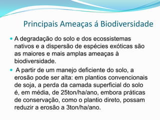 Principais Ameaças á Biodiversidade
 A degradação do solo e dos ecossistemas
  nativos e a dispersão de espécies exóticas são
  as maiores e mais amplas ameaças à
  biodiversidade.
 A partir de um manejo deficiente do solo, a
  erosão pode ser alta: em plantios convencionais
  de soja, a perda da camada superficial do solo
  é, em média, de 25ton/ha/ano, embora práticas
  de conservação, como o plantio direto, possam
  reduzir a erosão a 3ton/ha/ano.
 