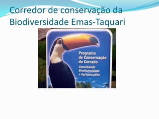 Corredor de conservação da
Biodiversidade Emas-Taquari
 