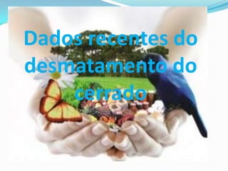 Dados recentes do
desmatamento do
    cerrado
 