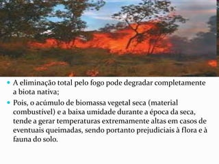  A eliminação total pelo fogo pode degradar completamente
  a biota nativa;
 Pois, o acúmulo de biomassa vegetal seca (material
  combustível) e a baixa umidade durante a época da seca,
  tende a gerar temperaturas extremamente altas em casos de
  eventuais queimadas, sendo portanto prejudiciais à flora e à
  fauna do solo.
 