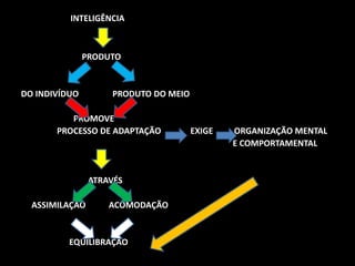 INTELIGÊNCIA 
PRODUTO 
DO INDIVÍDUO PRODUTO DO MEIO 
PROMOVE 
PROCESSO DE ADAPTAÇÃO EXIGE ORGANIZAÇÃO MENTAL 
E COMPORTAMENTAL 
ATRAVÉS 
ASSIMILAÇÃO ACOMODAÇÃO 
EQUILIBRAÇÃO 
 