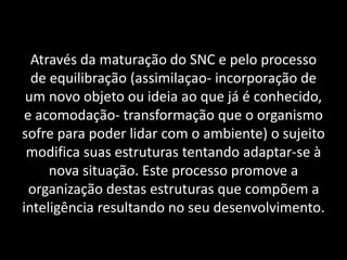 Através da maturação do SNC e pelo processo 
de equilibração (assimilaçao- incorporação de 
um novo objeto ou ideia ao que já é conhecido, 
e acomodação- transformação que o organismo 
sofre para poder lidar com o ambiente) o sujeito 
modifica suas estruturas tentando adaptar-se à 
nova situação. Este processo promove a 
organização destas estruturas que compõem a 
inteligência resultando no seu desenvolvimento. 
