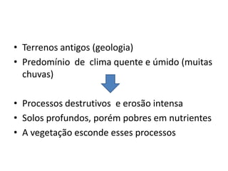 • Terrenos antigos (geologia)
• Predomínio de clima quente e úmido (muitas
chuvas)
• Processos destrutivos e erosão intensa
• Solos profundos, porém pobres em nutrientes
• A vegetação esconde esses processos
 