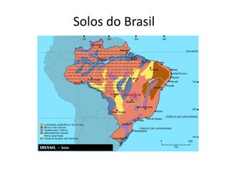 Solos do Brasil
 