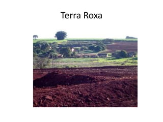 Terra Roxa
 