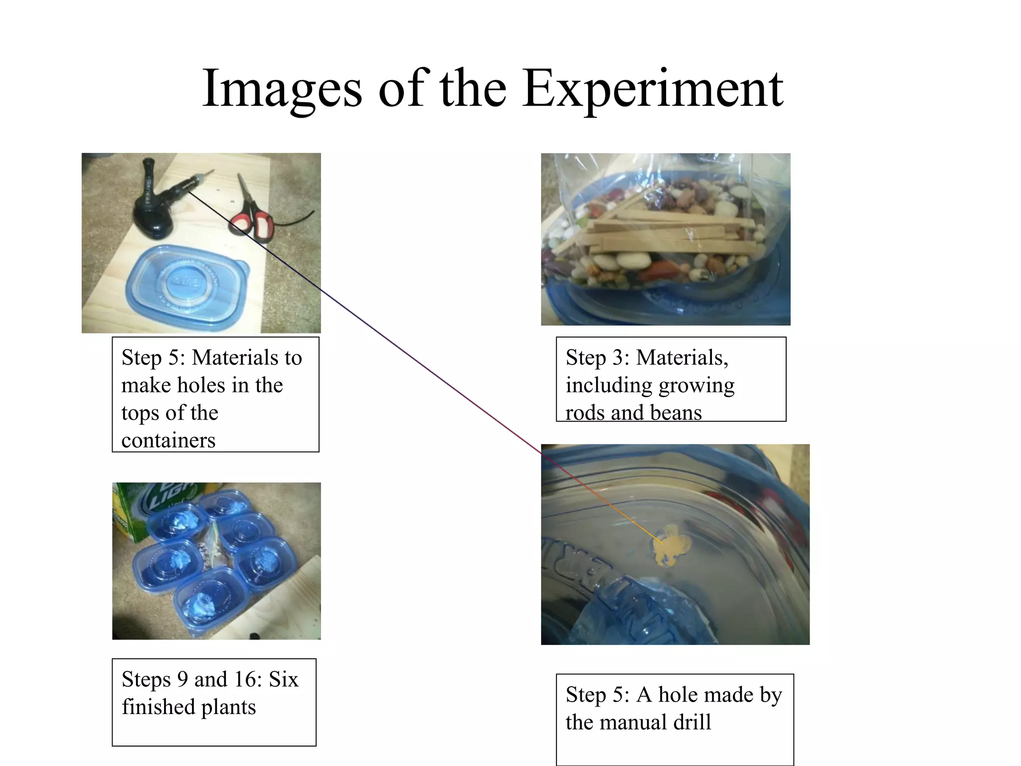 Procedure
• Observe the burning to make sure the plant is not threatened by 
  the flames
   – A.     Water all plants with the measuring cup (and sometimes 
     the tear dropper) every 4 days at 6:00 PM  with 100 milliliters 
     of tap water for 1 week and 5 days- water the plant with the 
     straw-top with the tear dropper to make sure that all of the 
     water gets to the plant through the straw.
 
