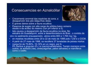 Consecuencias en Aznalcóllar

• Crecemento anormal das espécies da zona, a
    desaparición dos pés dalgunhas delas.
• E graves danos sobre a fauna acuática.
• Pesenza de augas con alta carga de sólidos,baixo osíxeno
    disolto e da acidez do mesmo (con pH inferior a 5).
• Isto causou a desaparición de fauna acuática na área. No
    estuário do Guadalquivir, entre a desembocadura do Braz , o contido de
 cinc no sedimento ensuspensión, vários entre 800 e 1.700 mg / kg,
• en mostras recollidas entre 20 e 22 de maio de 1998 polo / CSI e o CICM.
• A partir do 27 maio de 1998, xa recollera 37 toneladas de peixes mortos
• (carpa foi de 75-80%, 10-16% en un negro, por 6-
    8% Barbos e anguías 4% ) e macroinvertebrados. Tamén morreron entre
    outros, os anfíbios (ras), aves(cegoñas, patos salvaxes) e mamíferos
    como o coello.
 