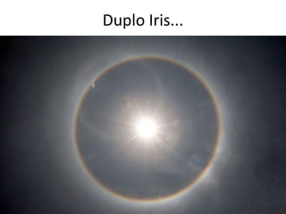 Duplo Iris...
 