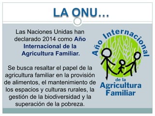 Las Naciones Unidas han
declarado 2014 como Año
Internacional de la
Agricultura Familiar.
Se busca resaltar el papel de la
agricultura familiar en la provisión
de alimentos, el mantenimiento de
los espacios y culturas rurales, la
gestión de la biodiversidad y la
superación de la pobreza.

 