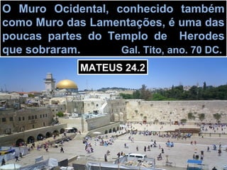 O Muro Ocidental, conhecido também
como Muro das Lamentações, é uma das
poucas partes do Templo de Herodes
que sobraram.      Gal. Tito, ano. 70 DC.
              MATEUS 24.2
 