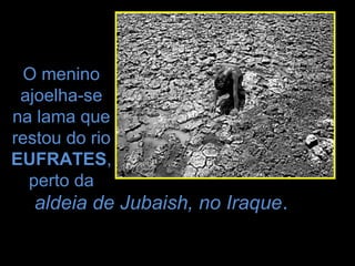 O menino
 ajoelha-se
na lama que
restou do rio
EUFRATES,
  perto da
   aldeia de Jubaish, no Iraque.
 