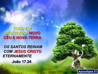 TUDO FOI
DESTRUÍDO. NOVO
CÉU E NOVA TERRA

OS SANTOS REINAM
COM JESUS CRISTO
ETERNAMENTE
    João 17.24

                   Apocalipse 21
 