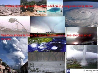Habrá terror y grandes señales del cieloy angustia en la tierra
(Lucas 21:11 y 25)
Veamos ahora la furia de estos fenómenos y sus efectos en el
mundo.
 
