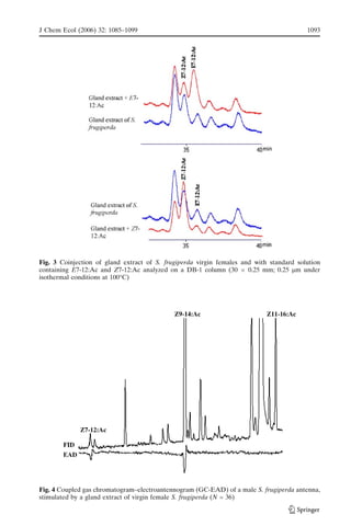 Fig. 4 Coupled gas chromatogram–electroantennogram (GC-EAD) of a male S. frugiperda antenna,
stimulated by a gland extract of virgin female S. frugiperda (N = 36)
Fig. 3 Coinjection of gland extract of S. frugiperda virgin females and with standard solution
containing E7-12:Ac and Z7-12:Ac analyzed on a DB-1 column (30 Â 0.25 mm; 0.25 mm under
isothermal conditions at 100-C)
J Chem Ecol (2006) 32: 1085–1099 1093
 