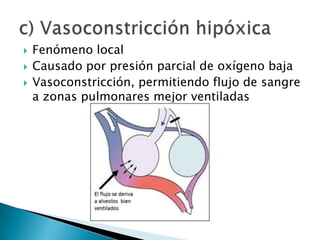  Fenómeno local
 Causado por presión parcial de oxígeno baja
 Vasoconstricción, permitiendo flujo de sangre
a zonas pulmonares mejor ventiladas
 