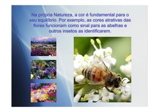 Na própria Natureza, a cor é fundamental para o
seu equilíbrio. Por exemplo, as cores atrativas das
flores funcionam como sinal para as abelhas e
outros insetos as identificarem.
 