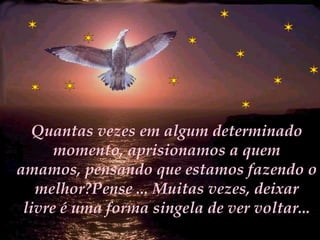 Quantas vezes em algum determinado momento, aprisionamos a quem amamos, pensando que estamos fazendo o melhor?Pense ... Muitas vezes, deixar livre é uma forma singela de ver voltar... 