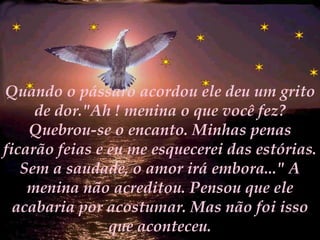 Quando o pássaro acordou ele deu um grito de dor."Ah ! menina o que você fez? Quebrou-se o encanto. Minhas penas ficarão feias e eu me esquecerei das estórias. Sem a saudade, o amor irá embora..." A menina não acreditou. Pensou que ele acabaria por acostumar. Mas não foi isso que aconteceu. 