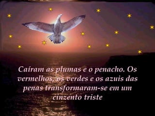 Caíram as plumas e o penacho. Os vermelhos, os verdes e os azuis das penas transformaram-se em um cinzento triste 