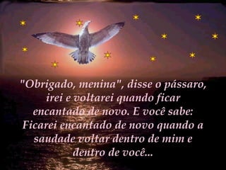 "Obrigado, menina", disse o pássaro, irei e voltarei quando ficar encantado de novo. E você sabe: Ficarei encantado de novo quando a saudade voltar dentro de mim e dentro de você... 