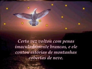 Certa vez voltou com penas imaculadamente brancas, e ele contou estórias de montanhas cobertas de neve. 