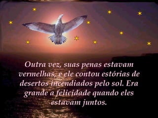 Outra vez, suas penas estavam vermelhas, e ele contou estórias de desertos incendiados pelo sol. Era grande a felicidade quando eles estavam juntos. 