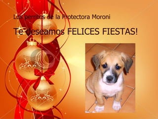 Los perritos de la Protectora Moroni Te deseamos FELICES FIESTAS! 